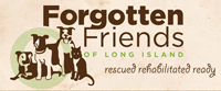 Forgotten Friends Logo