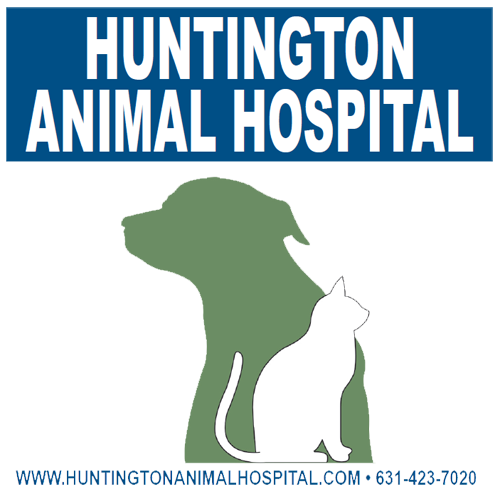 huntington vet clinic